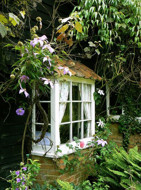 Cottage Window by Brian Sibley, via Flickr  Willow Cottage, Curtis Mill Green, Essex Cottage Windows, Woodland Cottage, Beautiful Windows, Dream Cottage, Flowers And Greenery, Little Cottage, Through The Window, Cottage Living, English Cottage