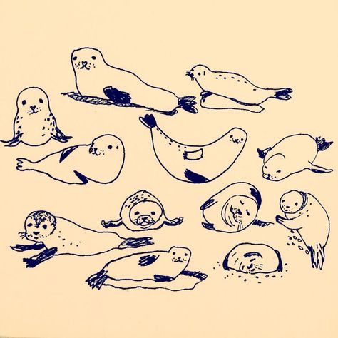 Seal Drawing Illustration, Seal Illustration Cute, Cute Seal Illustration, Seal Drawing Cute, Seal Tattoo Simple, Seals Illustration, Seals Drawing, Seal Doodle, Cute Seal Drawing