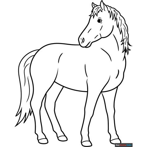 Free Easy Realistic Horse Coloring Page for Kids Printable Horse Coloring Pages, Zebra Coloring Pages, Horse Outline, Horse Rearing, Horse Mane, Drawing Guides, Free Horses, Horse Coloring Pages, Coloring Ideas