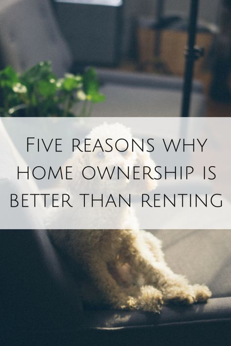 Five reasons why home ownership is better than renting - My Money Cottage  #homeownership   #property Money Saving Advice, Selling Strategies, Real Estate Rentals, Rent Me, Home Equity Loan, Money Advice, Home Equity, Home Again, Frugal Living Tips