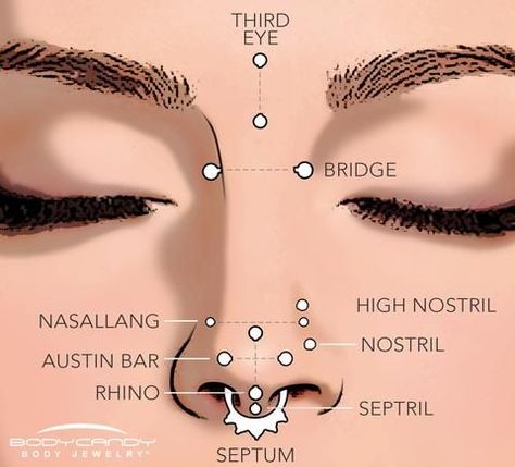 A guide to the different types of nose piercings - Multiple and symmetrical piercings of the nose are trending right now, BodyCandy wants to help you make sure you know your type!  Septum, high nostril, bridge? What do you want? Piercing No Rosto, Types Of Nose Piercings, Types Of Nose, Spiderbite Piercings, Piercings Bonitos, Piercing Nostril, Piercing Bouche, Bodysuit Tattoos, Ear Peircings