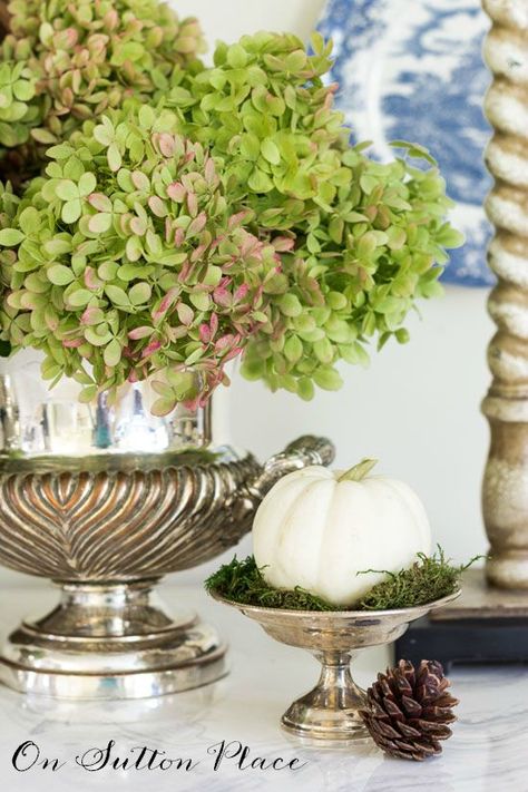 Drying Limelight Hydrangeas | The best way to harvest and dry limelight hydrangeas for Fall arrangements, wreaths and decor. Limelight Hydrangeas, Fall Hydrangea, Decorate For Fall, Limelight Hydrangea, Fall Coffee Table, Fall Flower Arrangements, Sutton Place, Diy Arrangements, Fall Arrangements