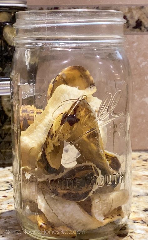 DIY Banana Peel Fertilizer for Plants - The Novice Homestead Diy Plant Fertilizer, Banana Peel Fertilizer, Diy Kitchen Cabinets Build, Natural Plant Fertilizer, Tomatoes Garden, Diy Fertilizer, Banana Water, Plant Fertilizer, Garden Plot