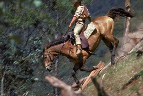 The Man From Snowy River, Man From Snowy River, Snowy River, Horse Movies, Cowboy Horse, Coban, All The Pretty Horses, Horse Crazy, Appaloosa