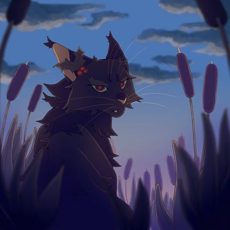 Grey Cat, Warrior Cats, Black Cat, Grey, Black