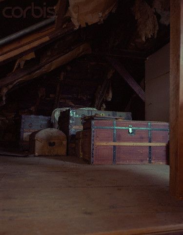 Creepy Attic, Attic Library, Attic Organization, Garage Attic, Attic Office, Bly Manor, Attic Renovation Ideas, Attic Lighting, Flowers In The Attic