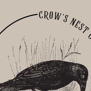 Crow's Nest Collections on Instagram: "Crows are a member of the corvidae family; A group of birds known to gather sparkly objects to adorn their nests, attract a mate, or even to "gift." I am so thankful to my dearest friend @magnificently_cursed for helping me with my branding!" Lucanis Dellamorte, To My Dearest Friend, Group Of Birds, Crow's Nest, Rp Characters, My Dearest, Truck Ideas, So Thankful, March 4