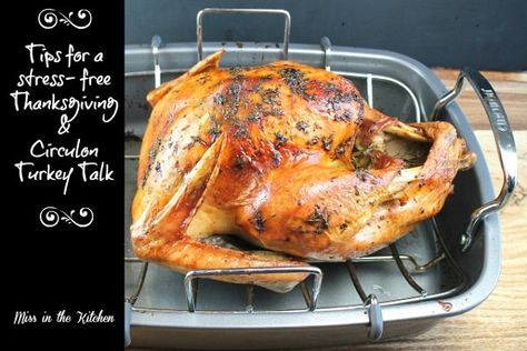 Gobble Gobble, Collection of Turkey Recipes Thanksgiving Turkey Recipes, Cranberry Glaze, Will Cook For Smiles, Best Turkey, Turkey Recipes Thanksgiving, Turkey Thanksgiving, Gobble Gobble, Thanksgiving Feast, Glaze Recipe