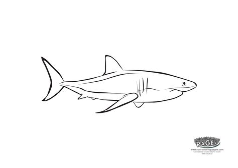 shark Small Shark Outline Tattoo, Single Line Shark Tattoo, Line Work Shark Tattoo, Shark Line Drawing Tattoo, Great White Shark Outline Tattoo, Cookie Quotes, Shark Tattoo, Shark Tattoos, Man Cave Signs