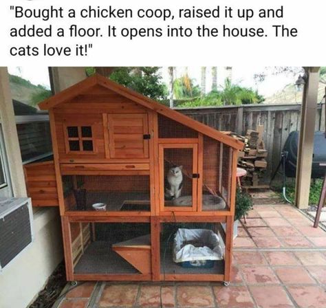 Chicken coop turned Cateo Kat Diy, Cat Patio, Outdoor Cat Enclosure, Cat House Diy, Cat Enclosure, Two Cats, Outdoor Cats, Pet Hacks, Cat Room