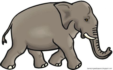 Walking Pictures, Elephant Clip Art, Side View Drawing, Functional Medicine Doctors, Elephant Images, Elephant Face, Free Clipart Images, African Elephant, An Elephant