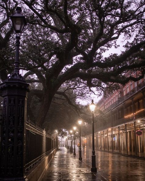 All Posts • Instagram Bayou Wallpaper, New Orleans Apartment, 1920s Wallpaper, Jackson Square New Orleans, Bayou Country, Square Prints, Best Wallpaper Hd, Jackson Square, The French Quarter