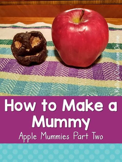 Learn how to make a mummy out of a dehydrated apple. Making apple mummies is a great STEM activity for your social studies units about Ancient Egypt. Apple Mummy Experiment, Mummified Apples, Pumpkin Life Cycle, Stem Experiments, Animal Life Cycles, Stem Books, Social Studies Unit, Apple Stem, Fun Facts About Animals