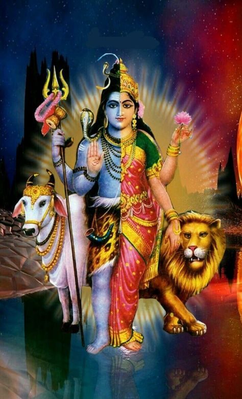 Shiv Parvati Pic, Shiv Parvati Wallpaper, Shiv Parvati Vivah, Parvati Wallpaper, Shiv Parvati Love, Pic Cartoon, Bhole Nath, God Pics, Shiv Parvati