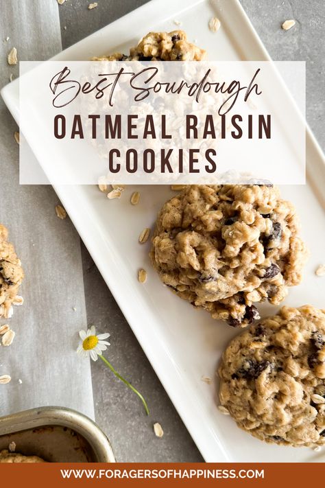 Discard Oatmeal Raisin Cookies, Sourdough Discard Cookies Healthy, Discard Oatmeal Cookies, Sourdough Discard Oatmeal Raisin Cookies, Oatmeal Sourdough Cookies, Rye Sourdough Discard Recipes, Sour Dough Cookies Recipes, Sourdough Oatmeal Raisin Cookies, Sourdough Discard Oatmeal Cookies