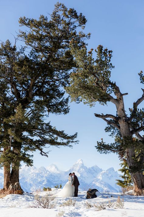 Top Winter Wedding Venues in Jackson Hole - Jamye Chrisman Photography Wedding Tree Jackson Hole, Winter Wedding Details, Jackson Hole Winter, Winter Ceremony, Tips For Winter, Winter Wedding Venues, Western Style Wedding, Wedding Tree, Jackson Hole Wyoming