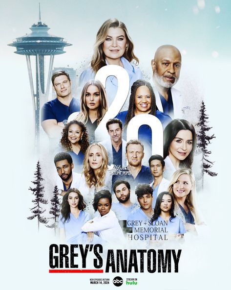 Greys Anatomy Poster, Movie Posters Greys Anatomy, Greys Anatomy Season 6, Greys Anatomy Season 8, Greys Anatomy Season 19 Poster, M.a.g.i.c Greys Anatomy, Anatomy Poster, Memorial Hospital, Grey's Anatomy