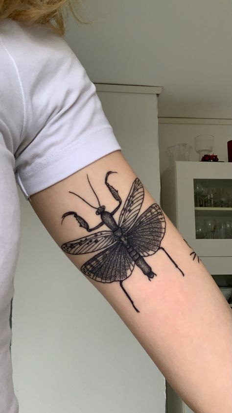 Mantis Tattoo, Tattoo On The Back, Animal Sleeve, Bug Tattoo, Insect Tattoo, Sick Tattoo, Elbow Tattoos, Tattoo Arm, Add Me On Snapchat