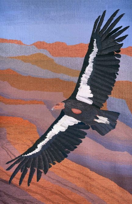 Andean Condor, California Condor, Parrot Pet, Eagle Art, Stencils Printables, Drawing Heads, Perle Cotton, Bird Quilt, Boise Idaho