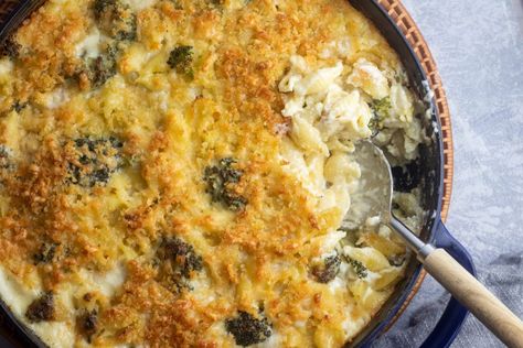 Think of this recipe as my Italian version of mac and cheese. This creamy Parmesan baked pasta starts off with a rich bechamel sauce, then a heavy helping of both freshly grated Provolone and Parmesan, making it perfectly decadent and cheesy. I like to use shell pasta because the curves hold on to more of the cheese and the sauce, and broccoli florets add a little bit of greens in an otherwise indulgent dish. My favorite part, however, is the parmesan and panko breadcrumb mixture- it creates tha Baked Dinners, Giada Recipes, Baked Pasta, Cheesy Casserole, Baked Pasta Recipes, Creamy Parmesan, Parmesan Pasta, Baked Mac, Yummy Pasta Recipes