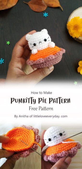 Best Pumpkin Pie Free Amigurumi Pattern Ideas - Carolinamontoni.com The Best Pumpkin Pie, Crochet Fall Decor, Ghosts And Pumpkins, Thanksgiving Crochet, Crochet Ghost, Best Pumpkin Pie, Fall Crochet Patterns, Fall Crochet, Crochet Halloween