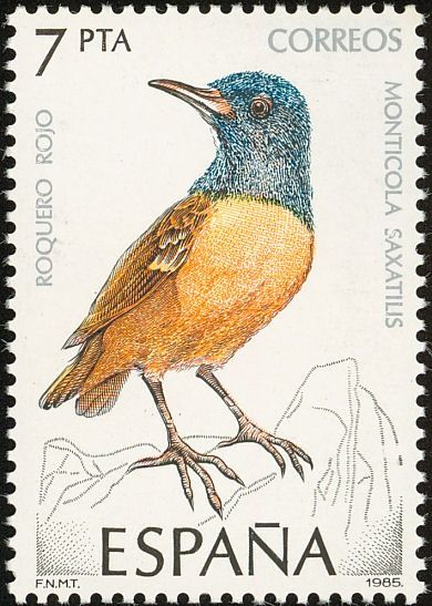 Birds on stamps: Spain Spanje Espagne Espana Chinstrap Penguin, Andean Condor, Eurasian Eagle Owl, Common Kingfisher, Flycatchers, Bird Stamp, Postage Stamp Art, West Art, Wild Creatures