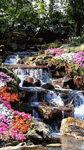 Animated Waterfall nature flowers waterfall animated garden gif Waterfall Flowers, Spring Gif, Animated Garden, Taman Air, Search Google, Water Falls, Air Terjun, Beautiful Gif, Nature Gif