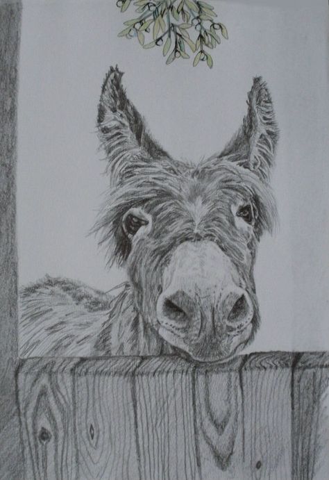 Drawings Of Donkeys, How To Paint A Donkey, Donkey Drawing Sketches, Christmas Sketches Pencil, Christmas Drawing Ideas Pencil, Donkey Sketch, Cute Donkey Drawing Art, Donkey Drawing, Pencil Drawing Ideas