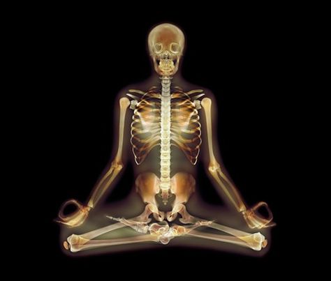 Bone Buddha Love Is An Action, Meditation Retreat, Yoga Help, True Purpose, Breath In Breath Out, Yoga Life, Neuroscience, X Ray, Yoga Inspiration