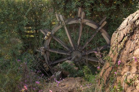 16 Hauntingly Beautiful Photos of Disney's Abandoned Water Park Abandoned Disney Park, Disney World Water Parks, Abandoned Water Parks, Disney Water Parks, Abandoned Theme Parks, Park River, Haunting Photos, Abandoned Amusement Parks, Abandoned Castles