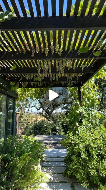 Vine Roof, Garden Archway, Backyard Farm, Backyard Farming, Landscape Projects, Backyard Ideas, Arbor, Kiwi, Grape Vines