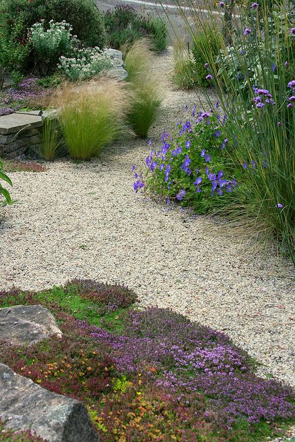 Ideas to soften the edges of my gravel garden.  Note grass planted out into the gravel. Ormanlık Alan, Decomposed Granite, Drought Tolerant Garden, Waterwise Garden, Drought Tolerant Landscape, Gravel Path, Dry Garden, Gravel Garden, Coastal Gardens