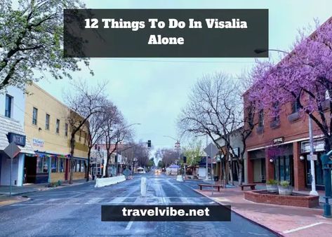 Are you looking for the best things to do in Visalia alone in the heart of California? Look no further than Visalia, a charming city nestled at the base of Visalia California, Best Restaurants, In The Heart, Things To Do, California, Good Things, Travel