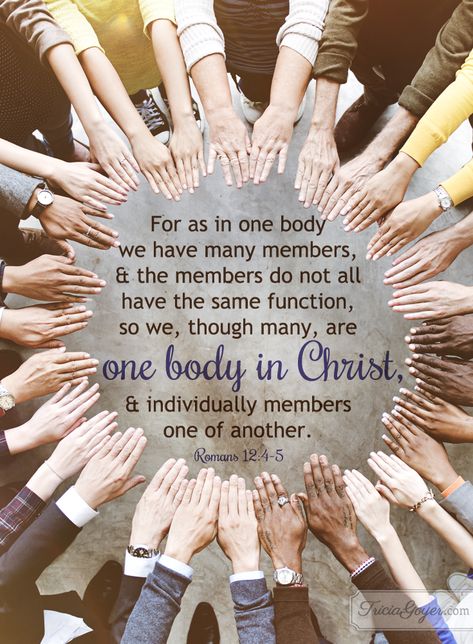 One body in Christ - Romans 12:4-5 Christ Quotes, Tamil Bible, Romans 12, Bible Words, Favorite Bible Verses, Christian Inspiration, Verse Quotes, Heavenly Father, Scripture Verses