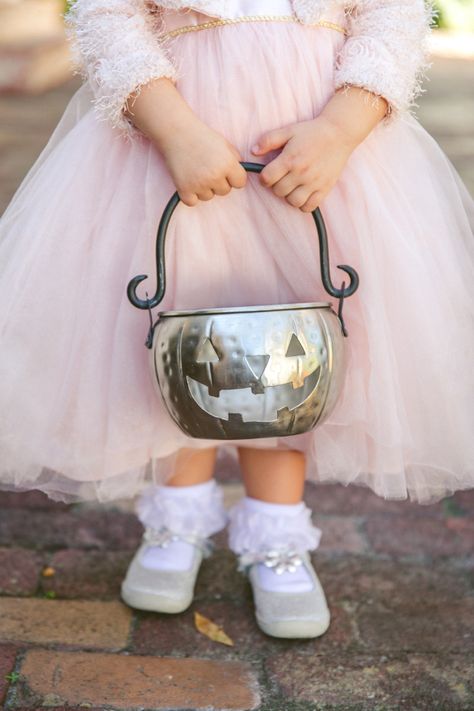 in LOVE with this flower girl's basket for a Halloween Wedding! Wedding Ceremony Unity, Halloween Themed Wedding, Pumpkin Wedding, Pumpkin Flower, Goth Wedding, Dark Wedding, Offbeat Bride, Theme Halloween, Pink Halloween