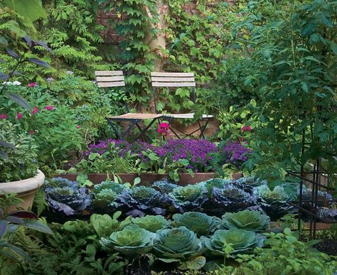 Who says a kitchen garden can't be beautiful? Turn edible plantings into works of art with four design strategies. Read the whole article here http://www.finegardening.com/design/articles/who-says-a-kitchen-garden-cant-be-beautiful.aspx# Funny Vine, Video Garden, Garden Ideas Cheap, Potager Garden, Garden Design Layout, Edible Landscaping, Fine Gardening, Veg Garden, Have Inspiration