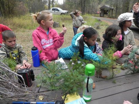 The Future of Learning: Project-based*, Place-based, Experiential, Authentic… Place Based Learning, Malibu Farm, Problem Based Learning, Values Education, Ela Teacher, Instructional Strategies, Outdoor Classroom, Experiential Learning, School Yard