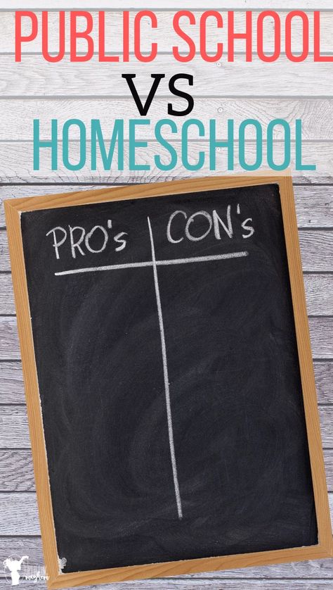 Pros And Cons Of Public School, Cons Of Homeschooling, Public School Vs Homeschool, Homeschool Vs Public School, Diy Homeschool, School Problems, Pros And Cons List, Unstructured Play, Future Planning