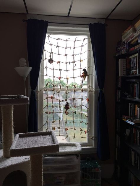 A great way to protect flighted parrots from windows! Homemade Bird Toys, Diy Parrot Toys, Diy Bird Toys, Parrot Stand, Pet Bird Cage, Parrot Pet, Bird Aviary, Parrot Cage, Bird Care