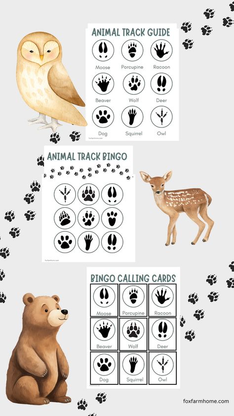 This is a great family game to bring camping or along on a hike to fill time when your legs need a break. It is easy to play and with the animal track template to reference is perfect for elementary aged kids and up. This animal tracks bingo game is a perfect way to work on track identification and is so fun to play as a whole family. Animal Camp Activities, Zoo Games For Kids, Animal Tracks Activities, Aba Activities, Zoo Games, Nature Camp, Bingo Games For Kids, Free Printable Bingo Cards, Bingo For Kids