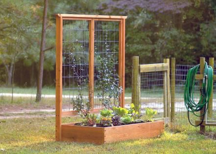 How to Build a Raised Bed and Trellis | Types of Gardens and Garden Style | HGTV Cheap Raised Garden Beds, Bed Party, Raised Garden Bed Plans, Diy Garden Trellis, Hgtv Garden, Vegetable Garden Raised Beds, Vertical Vegetable Garden, Building A Raised Garden, Diy Raised Garden