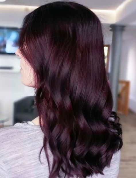 Aubergine Hair Color, Cherry Cola Hair, Hair Color Burgundy, Hair Shades, Beauty Hair Makeup, Burgundy Hair, Hair Stylies, Easy Hairstyles For Long Hair, Hair Color Dark