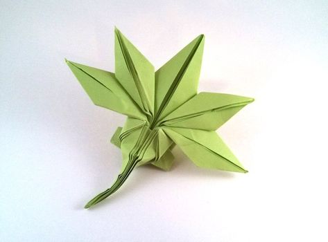 Origami Trees and Plants - Page 2 of 3 | Gilad's Origami Page Origami Plants, Origami Maple Leaf, Origami Tree, Maple Seed, Origami Leaves, Origami Book, Origami Diagrams, Japanese Origami, Paper Origami