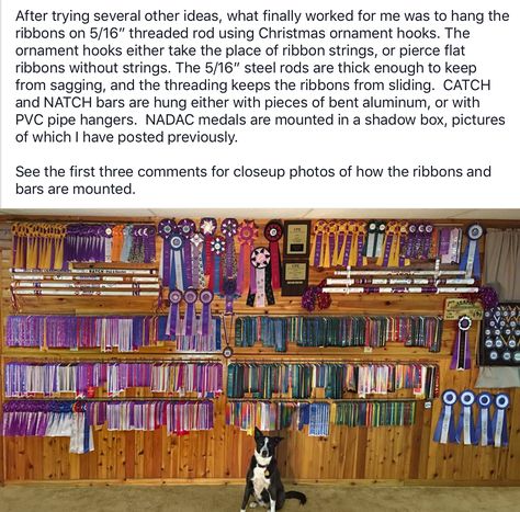 Dog Agility Ribbon Display, Dog Ribbon Display, Horse Ribbon Display, Dog Ribbon, Horse Ribbons, Horse Memes, Ribbon Display, Award Display, Dog Room