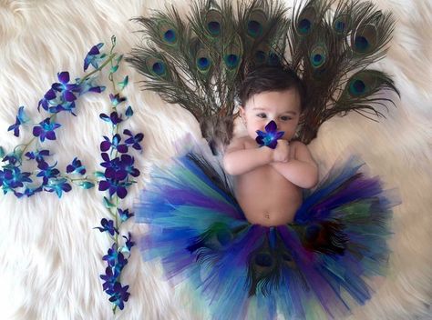 Baby photography 4 Month Baby Photoshoot, Peacock Baby, 4 Month Baby, Foto Newborn, Monthly Baby Pictures, Monthly Baby Photos, Baby Photoshoot Boy, Newborn Photography Poses, Newborn Baby Photoshoot