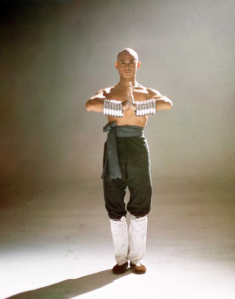 Gordon Liu, Twin Dragons, Shaw Brothers, Hong Kong Cinema, Martial Arts Film, Shaolin Monks, Kung Fu Movies, Kung Fu Martial Arts, Shaolin Kung Fu