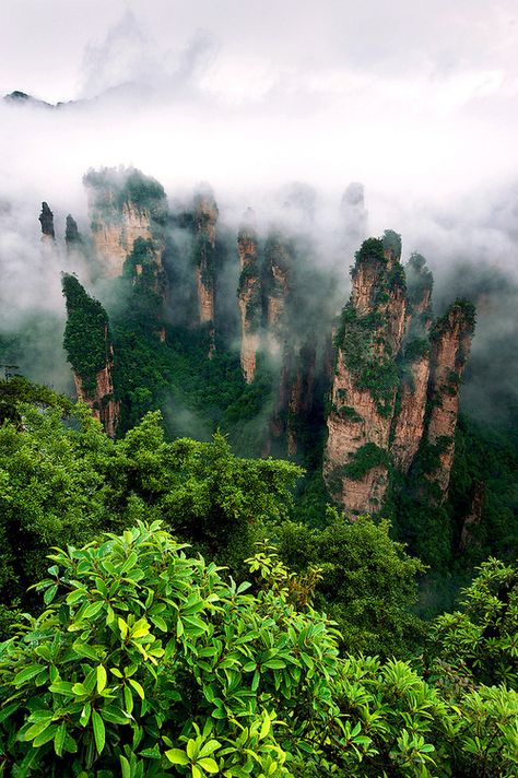 Zhangjiajie National Park © Anan Charoenkal Zhangjiajie, Forest Park, Pretty Places, Places Around The World, Asia Travel, Oman, Beautiful World, Beautiful Landscapes, The Great Outdoors