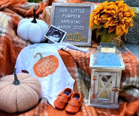 Little Pumpkin Pregnancy Announcement, Cute Fall Pregnancy Announcements, Pumpkin Pregnancy Photos, Fall Baby Announcement Ideas, October Pregnancy Announcement, Pumpkin Pregnancy Announcement, Fall Baby Announcement, Pregnancy Announcement Sibling, Fall Pregnancy