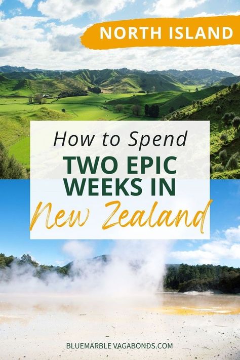 Planning a road trip in New Zealand's North Island? This ultimate 2-week itinerary covers all the must-see spots, from Auckland to Wellington. Explore the iconic Hobbiton, admire Rotorua's hot springs, find glowing worms, watch albino kiwi in the natural reserve, and more! Perfect for anyone looking to discover the best things to do in New Zealand's North Island, this guide includes tips on where to stay and what to see along the way. Road Trip New Zealand, Auckland Travel, New Zealand North Island, New Zealand Road Trip, New Zealand Adventure, Waiheke Island, New Zealand North, Oceania Travel, New Plymouth