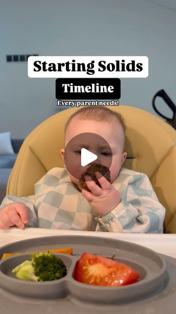 Laney Soodsma | Bottle & Breastfeeding | Solids | Development on Instagram: "Does your baby’s timeline look similar? There may be some variation to this timeline, but the main goal is to gradually increase your baby’s solid food intake as they get older, working towards solid foods being their main source of nutrition at 12 months old. Some babies may move a little faster than this and some a little slower & that’s okay 🫶🏼. It’s easy to feel pressure to offer 3 meals a day right out of the gate at 6 months but that’s not necessary. Follow their lead by gradually increasing their solid food meals/snacks as your baby becomes more comfortable and efficient. 

Follow @baby.feeding.development for more free solid food tips & resources and all things baby feeding! 👶🏼

#solidfoodforbaby #intr 4 Month Old Solid Food Schedule, 5 Month Old Solid Food Schedule, How Much Solids Should A 7 Month Old Eat, 6 Months Feeding Starting Solids, 7 Month Old Baby Food, 2 Month Old Eating Amount, 3 Meals A Day, Baby Solid Food, Starting Solids